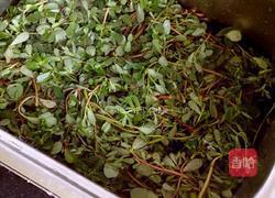 椒盐马齿笕的做法图解1