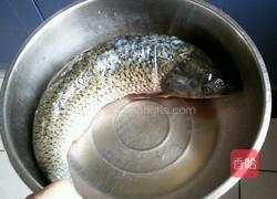 双椒鱼头的做法图解1