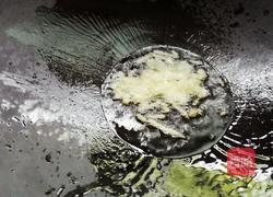 红烧豆腐的做法图解5