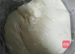 胡萝卜包子的做法图解1