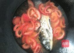 番茄鲫鱼汤的做法图解5