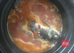 番茄鲫鱼汤的做法图解6