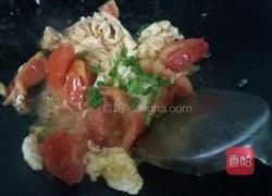 番茄捞面的做法图解4
