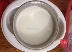 自制酸奶果仁的做法图解7