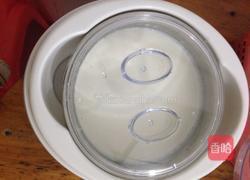 自制酸奶果仁的做法图解8