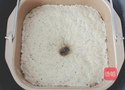 全麦豆渣刀切馒头的做法图解3