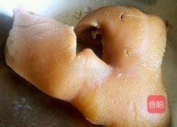 绿豆芽拌猪头肉的做法图解9