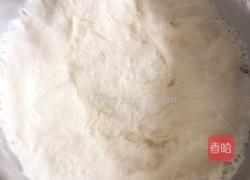 蜂蜜牛奶餐包的做法图解7