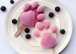 蔓越莓猫爪酸奶冰棒