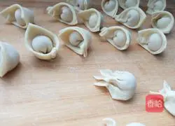 Illustration of home-made wontons 10
