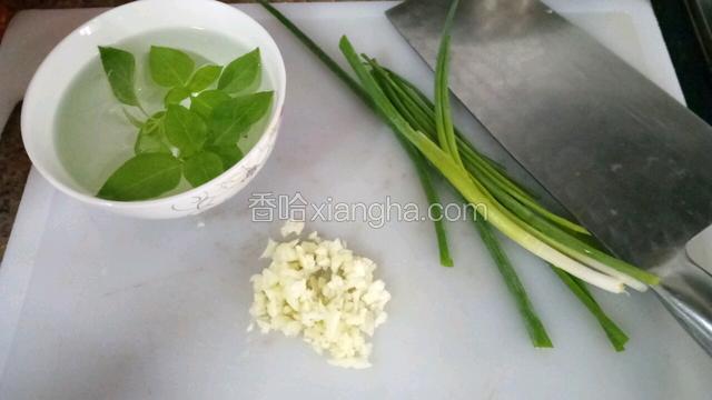 准备酱料所需要的材料，九层塔，葱，蒜头