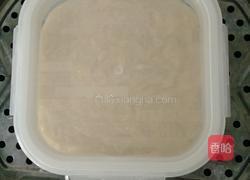 鸡肉火腿的做法图解7