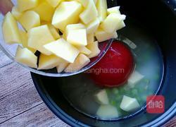 番茄牛腩燜米飯的做法圖解6