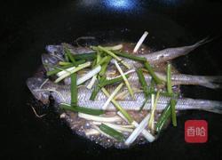 煎焖海鱼的做法图解5