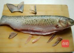 清蒸孔雀开屏鱼的做法图解4