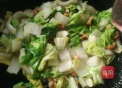 清炒白菜的做法图解5