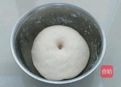 广元肉饼的做法图解1