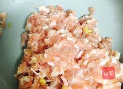 猪肉馄饨(浓汤宝版)的做法图解2