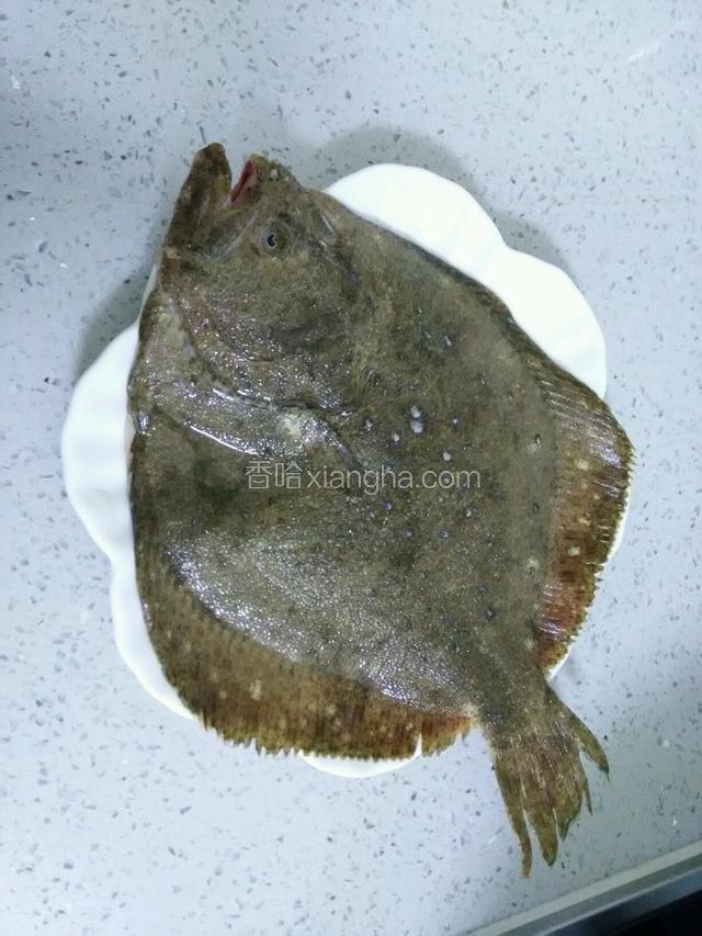 准备多宝鱼一条