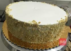 水果缤纷蛋糕的做法图解6