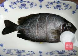 清蒸金鼓馒鱼的做法图解1