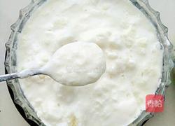 雪莲菌酸奶的做法图解5