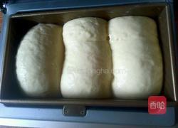 奶香土司的做法图解8