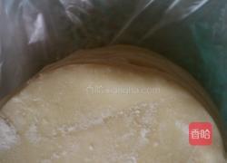 香菇胡萝卜肉馅饺子的做法图解8