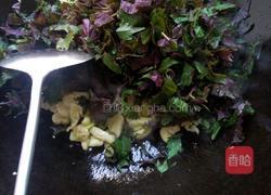 黄皮瓜的做法图解4