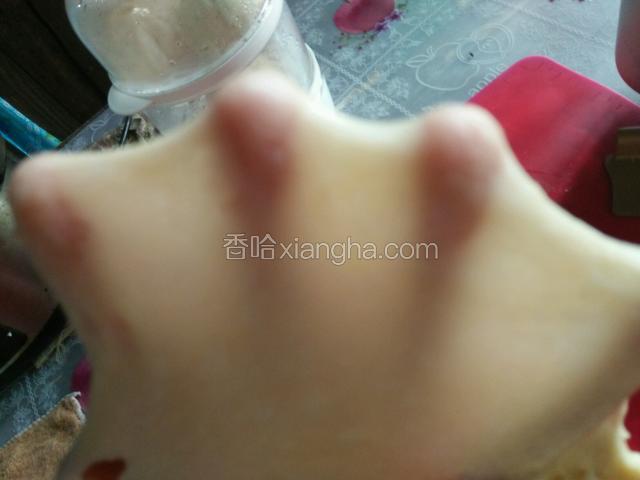启动面包机揉面一个小时左右至完全阶段。