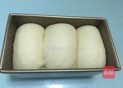 卡达仕超软土司（汤种）的做法图解15