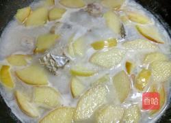 牛奶苹果鱼块汤的做法图解9