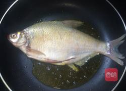 红烧鳊鱼的做法图解4