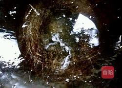 酸豆角炒花饭的做法图解9