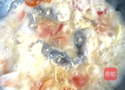 番茄土豆鱼头煲的做法图解12