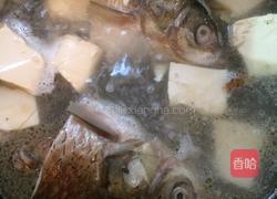 草鱼头豆腐汤的做法图解5