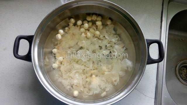 放足量的水小火慢炖半小时放入冰糖继续炖满一小时