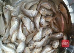 家炖大头宝鱼的做法图解1