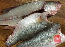 萝卜丝鲈鱼汤的做法图解2