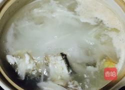 萝卜丝鲈鱼汤的做法图解5
