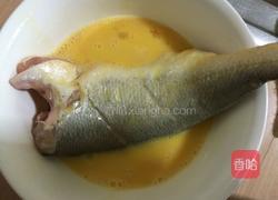 家常炖黄鱼的做法图解4