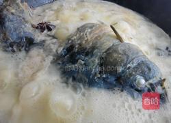 家常炖鲤鱼的做法图解8
