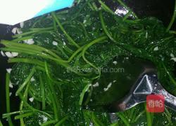 蒜香红薯叶的做法图解7