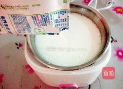 自制酸奶的做法图解6