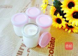 自制酸奶的做法图解10