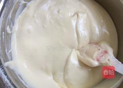 酸奶芝士蛋糕的做法图解11