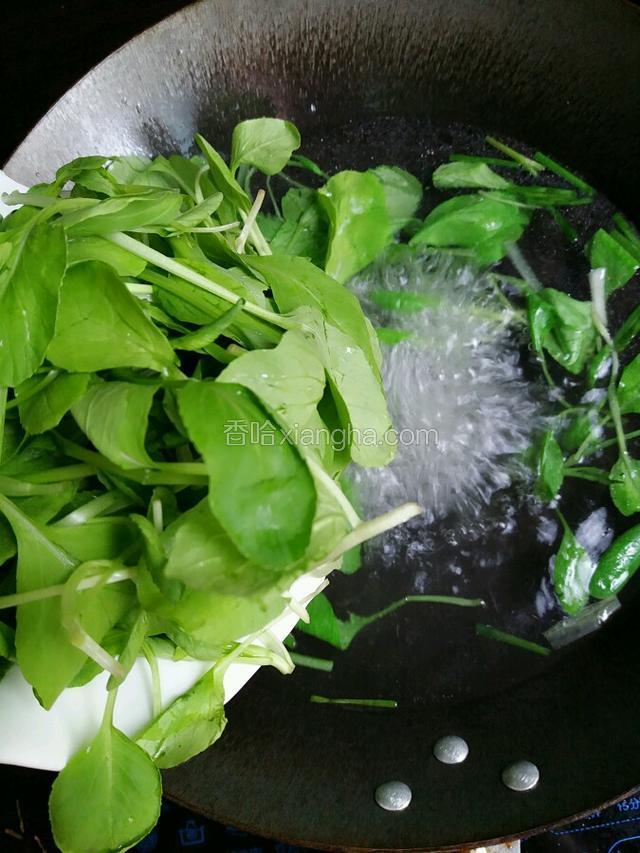 水开后倒入小青菜