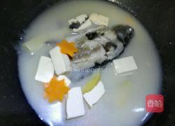 鲫鱼豆腐汤的做法图解4