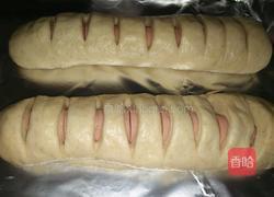 火腿肠面包的做法图解5