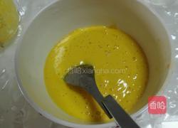 芒果冰棒的做法图解4